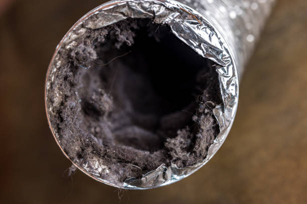 Best Emergency Air Duct Cleaning  in Jupiter Farms, FL